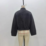 Pflage Dress Short Bomber Jacket 2025 Spring Temperament Collar Single Buckle Long Sleeves Loose Short Coat Woman