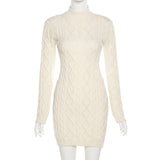 2025 Winter Fashion Trend Women's New Long-Sleeved Round Neck Straight Back Repair Kite Knit Dress