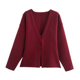 Women's INS Explosion V-Neck Long Sleeves Simple Knitted Set