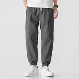 Trendy Workwear Men's Loose Trousers 2025 Spring And Summer Fashion Nine-Point Halen Pants Fashion Men's Casual Pants