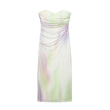 Women's Dress 2025 New Fashion Print Net Corset Dress