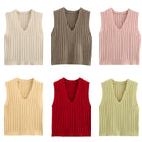 Basic Solid Color Sleeveless Vest 2025 Spring Leisure V Collared Women's Knitting Top