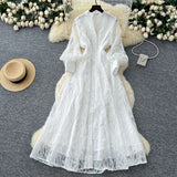 French Retro Elegant Dress Woman 2025 New High-End Collar Single Buckle Waist Embroidery Mesh Dress