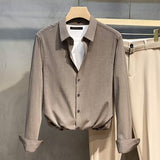 Striped Shirt Men's Long Sleeves Fall New Anti-Ringhold Small Casual Shirt Business High-End Shirt