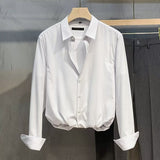 Striped Shirt Men's Long Sleeves Fall New Anti-Ringhold Small Casual Shirt Business High-End Shirt