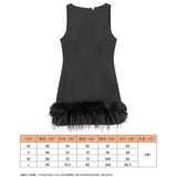 Women's Clothing Spring 2025 New Glit Decorative Feathers Spliced Long-Sleeved Mini Dress