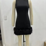 Design Sense A Dress 2025 Autumn New Standing Collar Sleeveless Solid Color Feathers Spliced Dress Dress Woman